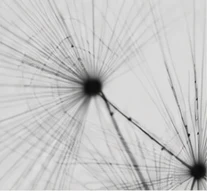 Explore abstract texture