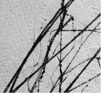 Sketches abstract texture